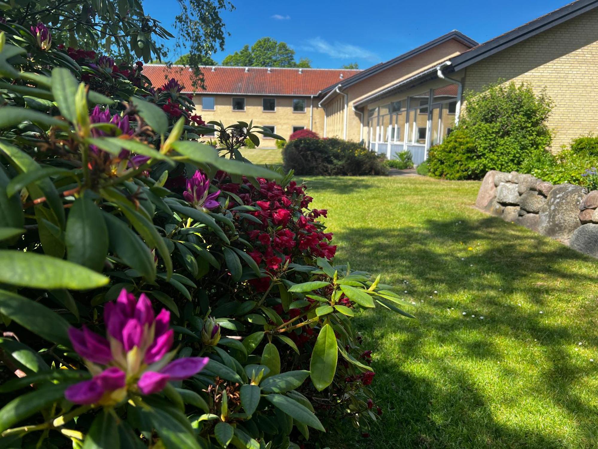 Emmaus Hostel Haslev Esterno foto