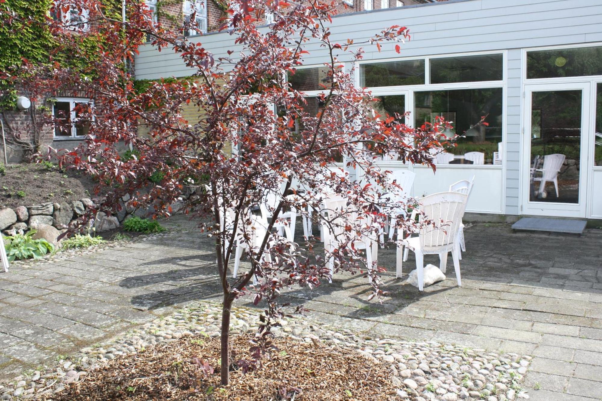 Emmaus Hostel Haslev Esterno foto